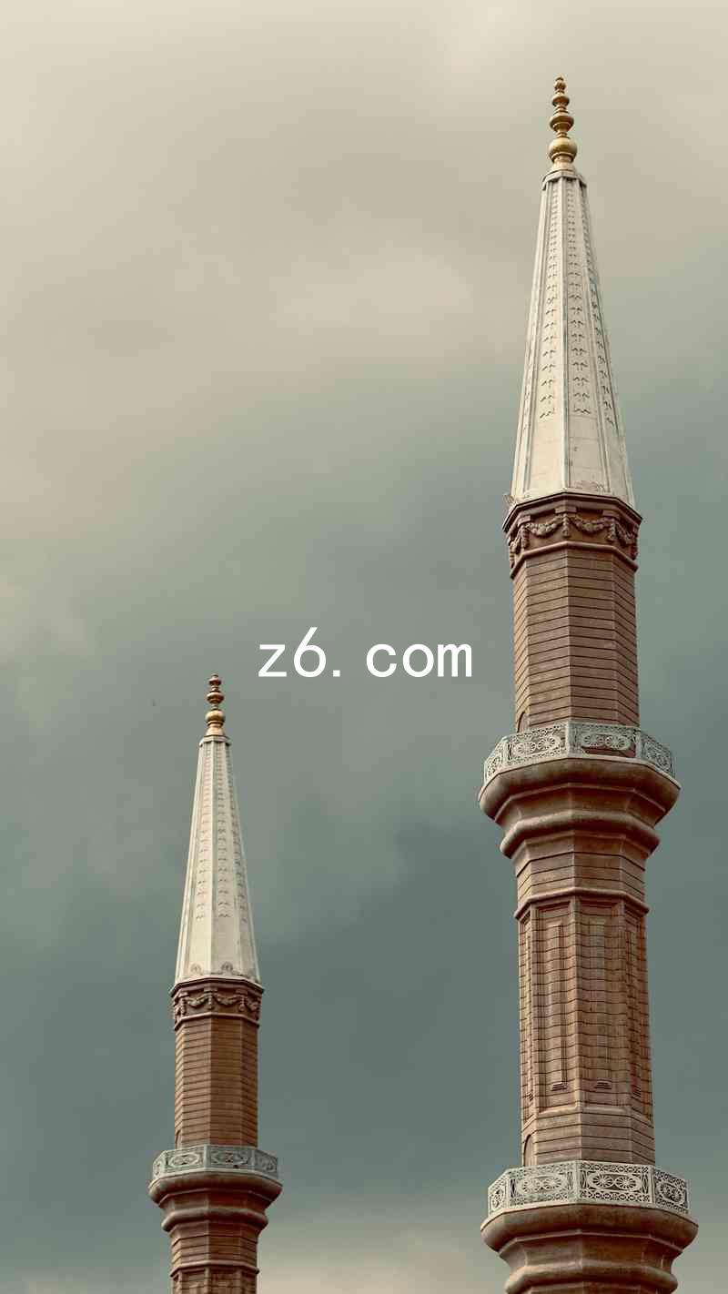 z6.com