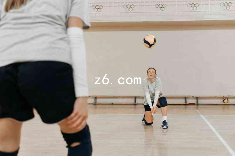 z6.com