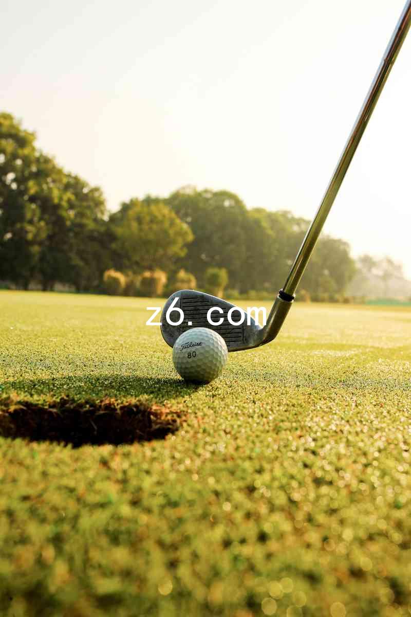 z6.com